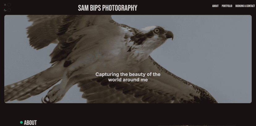 Screenshot of Sam Bips Photo